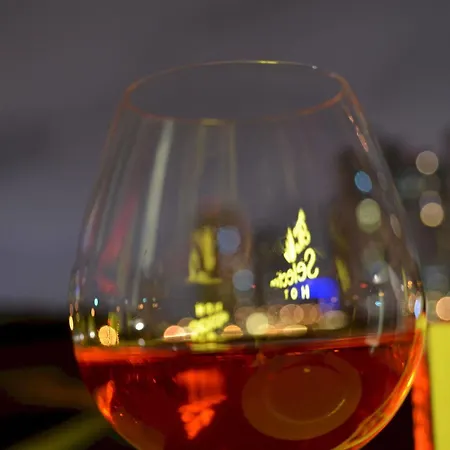 Hotel Selection Premium 4*